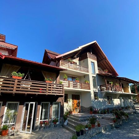 Vila Sorina Borşa Zewnętrze zdjęcie