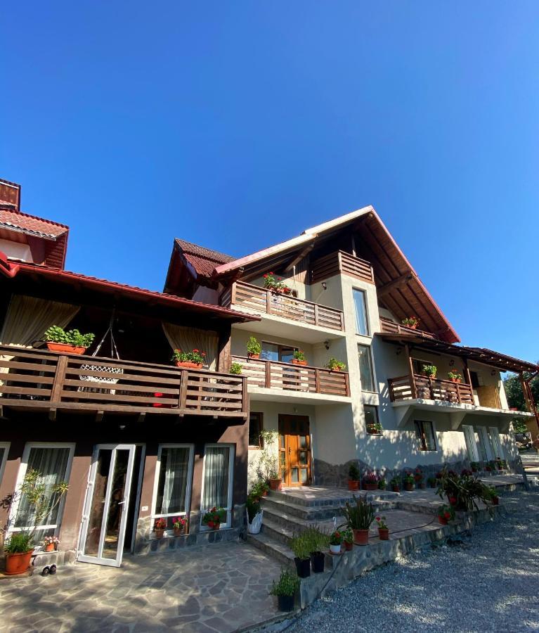 Vila Sorina Borşa Zewnętrze zdjęcie