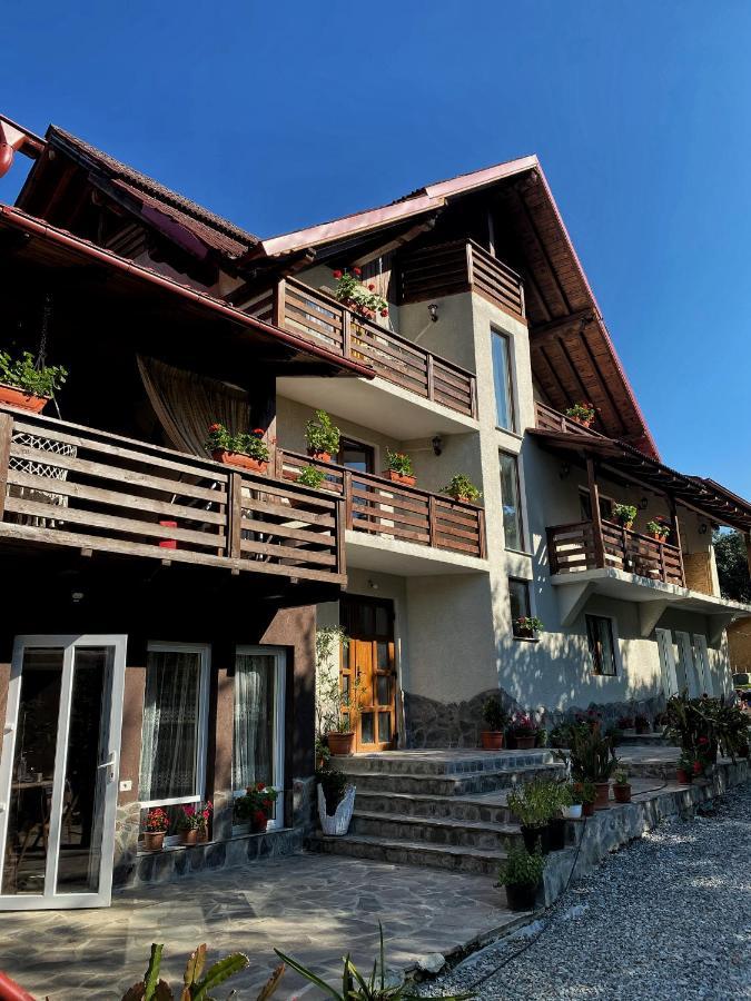 Vila Sorina Borşa Zewnętrze zdjęcie