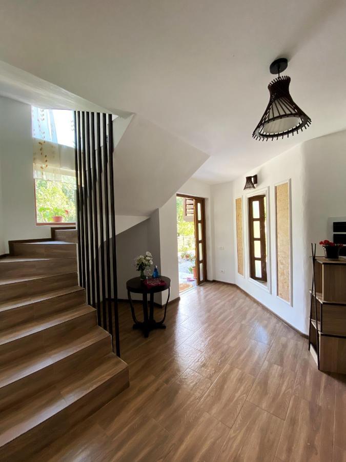 Vila Sorina Borşa Zewnętrze zdjęcie