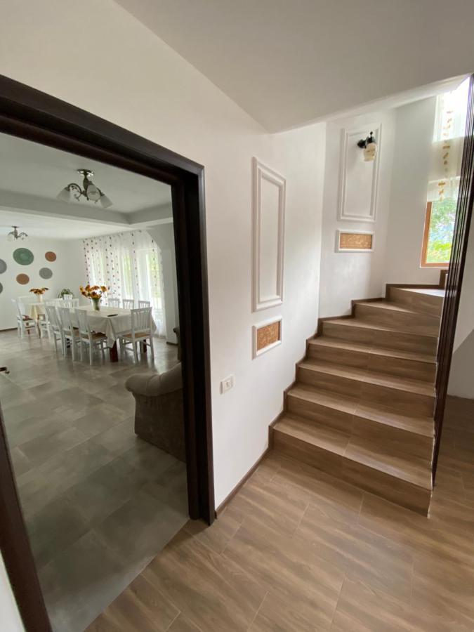 Vila Sorina Borşa Zewnętrze zdjęcie