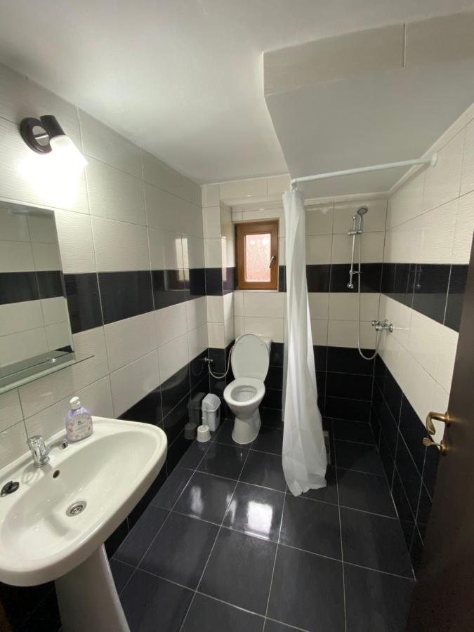 Vila Sorina Borşa Zewnętrze zdjęcie