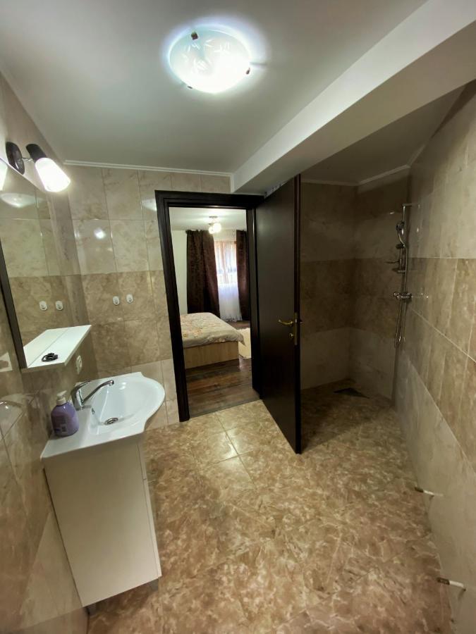 Vila Sorina Borşa Zewnętrze zdjęcie