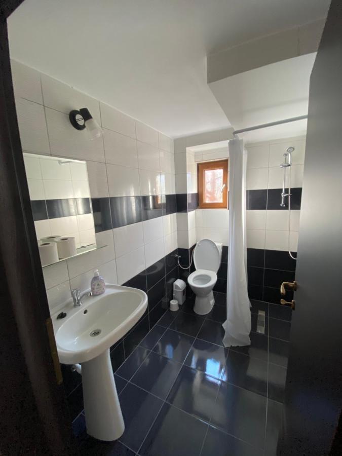 Vila Sorina Borşa Zewnętrze zdjęcie