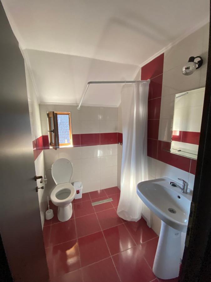 Vila Sorina Borşa Zewnętrze zdjęcie