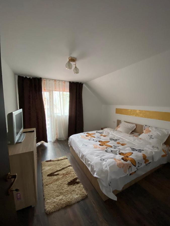 Vila Sorina Borşa Zewnętrze zdjęcie