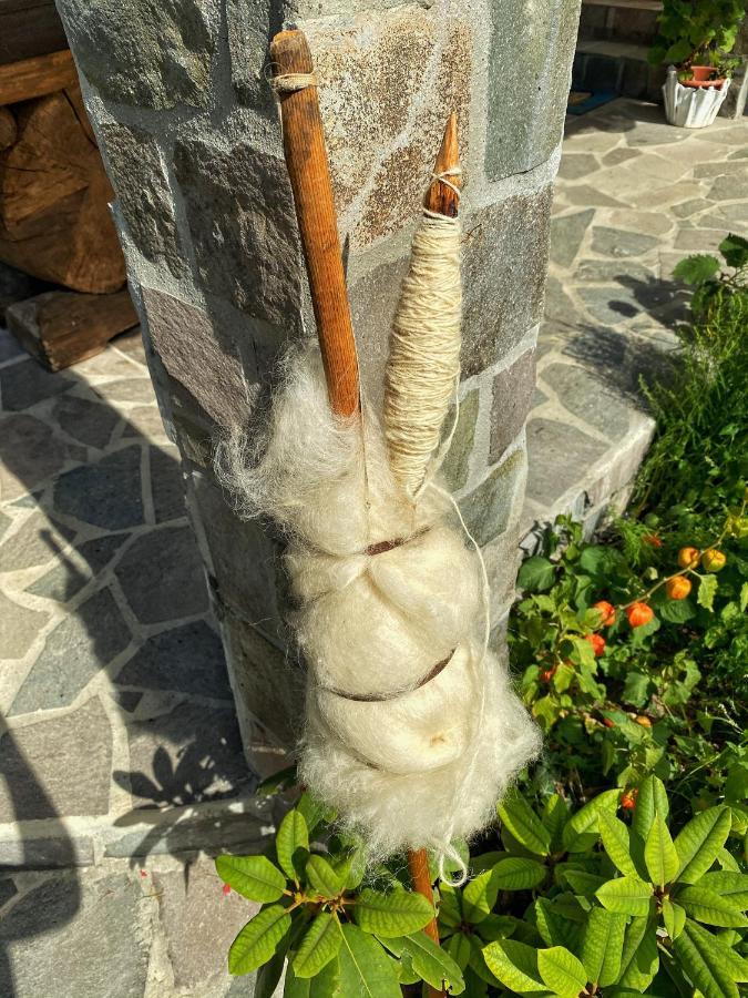 Vila Sorina Borşa Zewnętrze zdjęcie