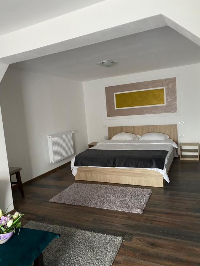 Vila Sorina Borşa Zewnętrze zdjęcie