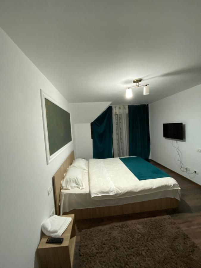 Vila Sorina Borşa Zewnętrze zdjęcie