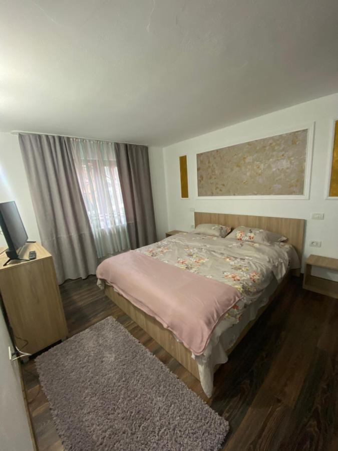 Vila Sorina Borşa Zewnętrze zdjęcie