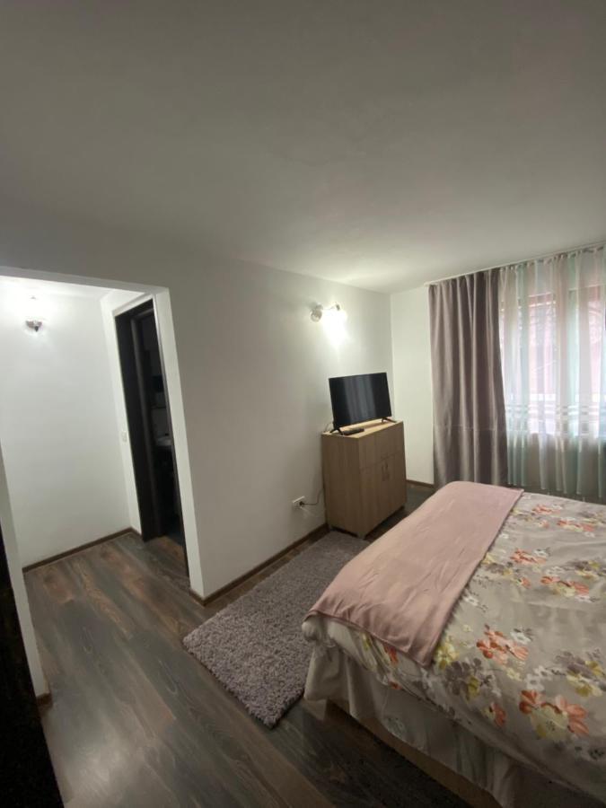 Vila Sorina Borşa Zewnętrze zdjęcie