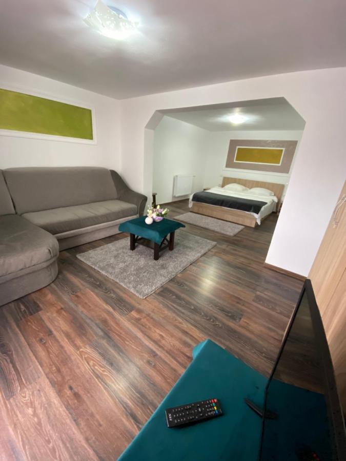 Vila Sorina Borşa Zewnętrze zdjęcie