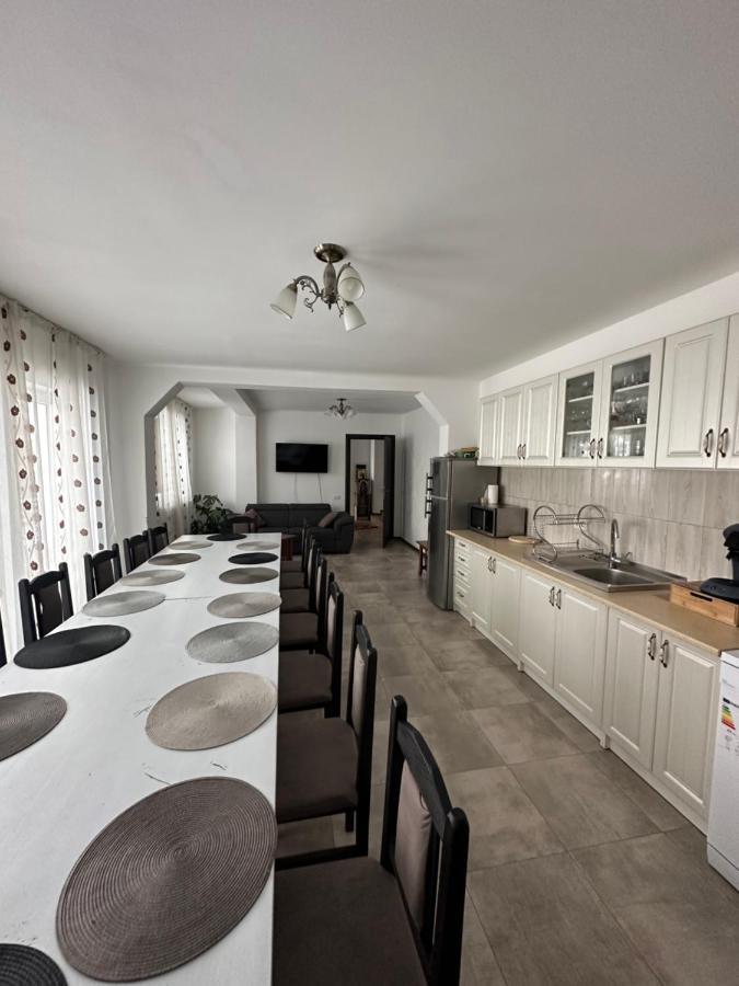 Vila Sorina Borşa Zewnętrze zdjęcie