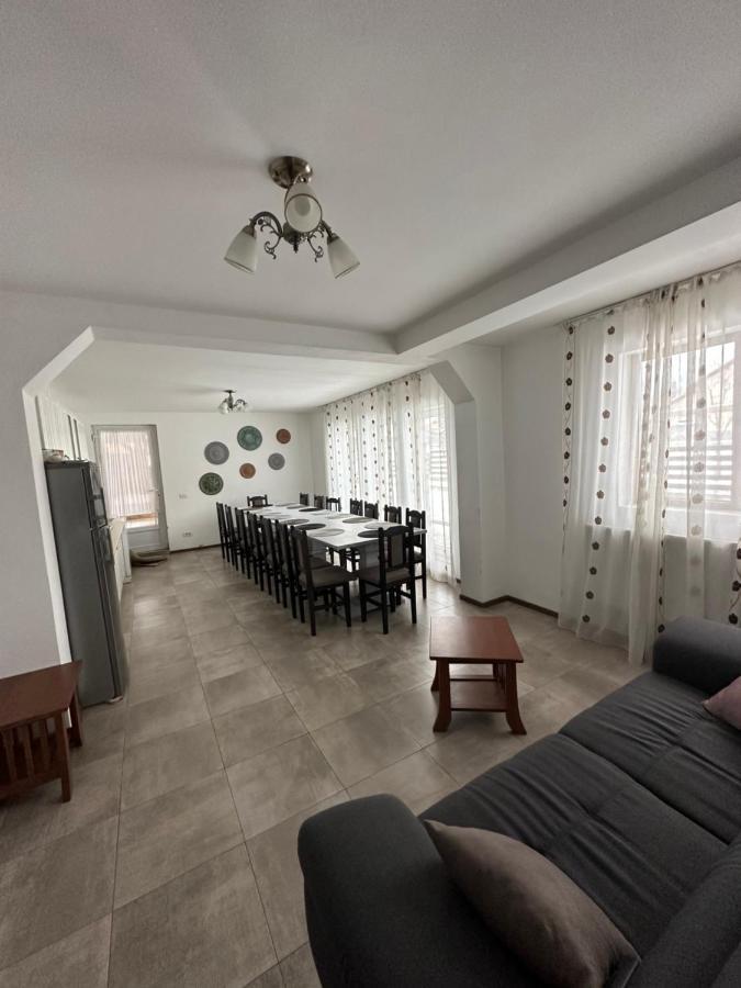 Vila Sorina Borşa Zewnętrze zdjęcie